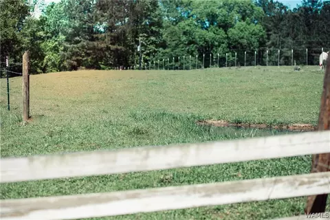 345 Baker Rd, Berry, AL 35546 photo 7