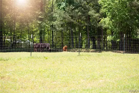 345 Baker Rd, Berry, AL 35546 photo 4