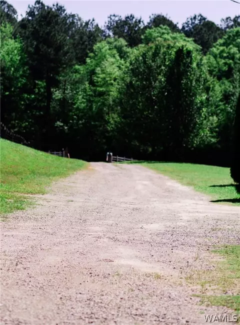 345 Baker Rd, Berry, AL 35546 photo 9