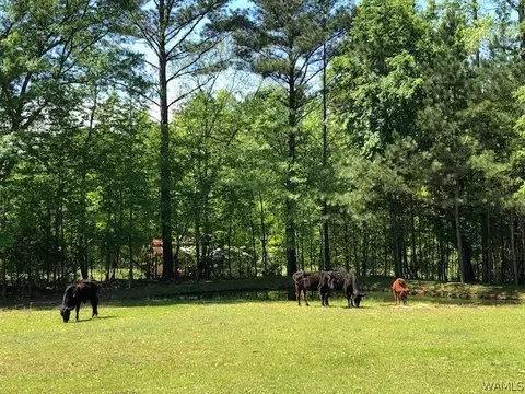 345 Baker Rd, Berry, AL 35546 photo 5