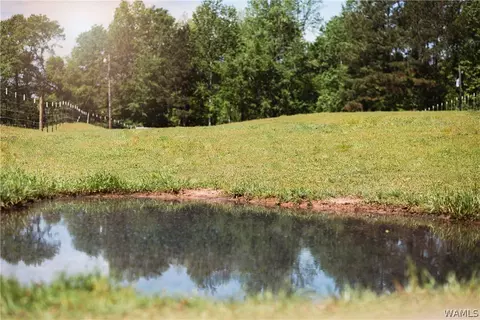 345 Baker Rd, Berry, AL 35546 photo 6