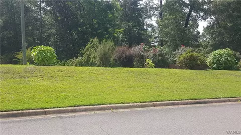 16520 Chase Cir, Ralph, AL 35480 photo 24