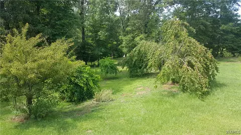 16520 Chase Cir, Ralph, AL 35480 photo 25