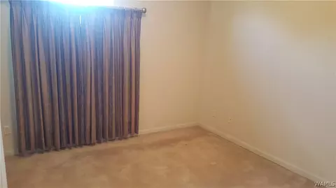 16520 Chase Cir, Ralph, AL 35480 photo 19