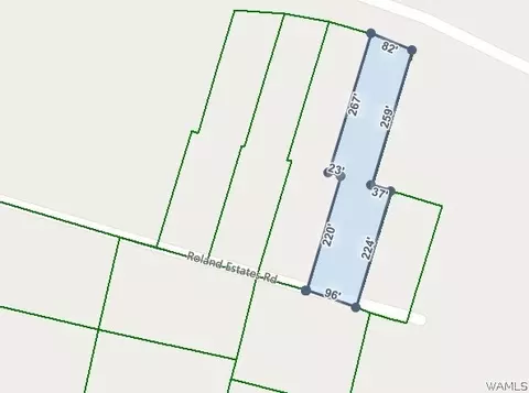 221 Roland Open Cir, Carrollton, AL 35447