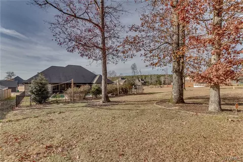 10642 Austin Loop, Vance, AL 35490 photo 36