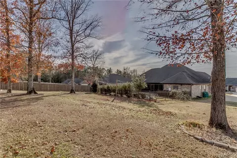 10642 Austin Loop, Vance, AL 35490 photo 35