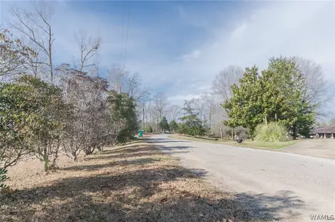 23993 Spring Loop, Berry, AL 35546 photo 12