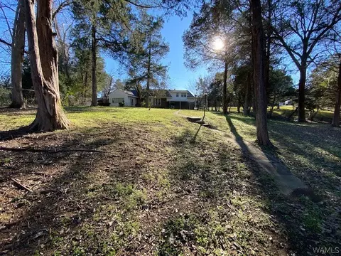 809 Phil Harper Dr, Demopolis, AL 36732 photo 6