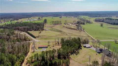 17909 Foxfire Rd, Buhl, AL 35446 photo 32