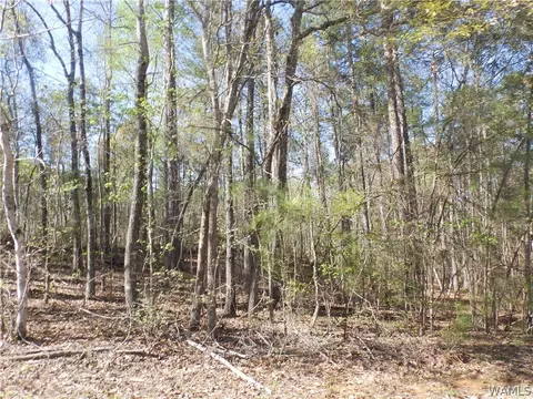 0000 Clements Rd, Cottondale, AL 35453