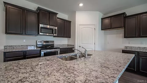 12593 Downing Dr, Mc Calla, AL 35111 photo 9