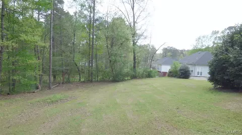 13271 Michael Dr, Lake View, AL 35111 photo 13