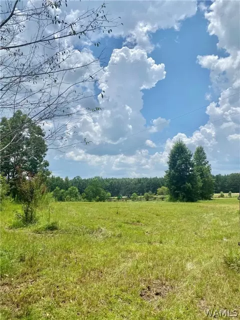 514 Dan Beech Rd, Chatom, AL 36518 photo 3
