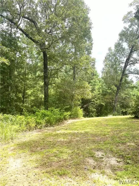 514 Dan Beech Rd, Chatom, AL 36518 photo 6
