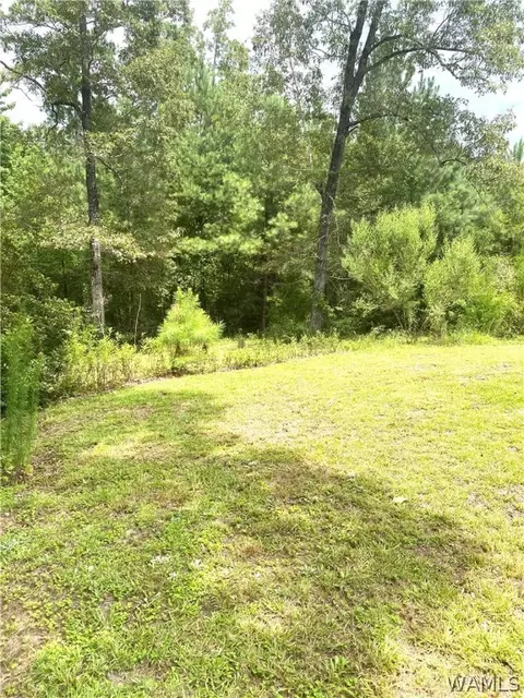 514 Dan Beech Rd, Chatom, AL 36518 photo 7