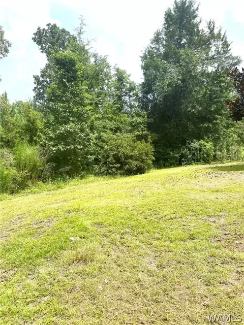 514 Dan Beech Rd, Chatom, AL 36518 photo 10
