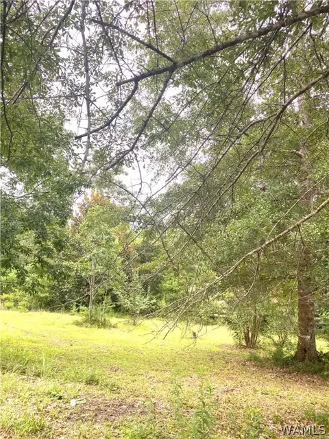 514 Dan Beech Rd, Chatom, AL 36518 photo 12