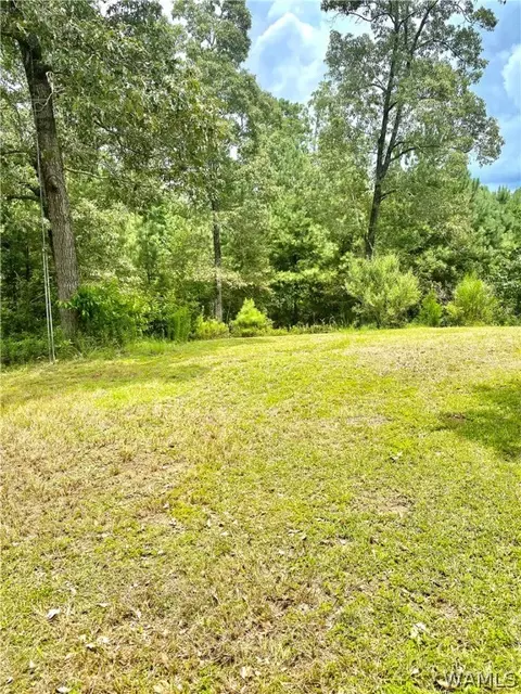 514 Dan Beech Rd, Chatom, AL 36518 photo 5