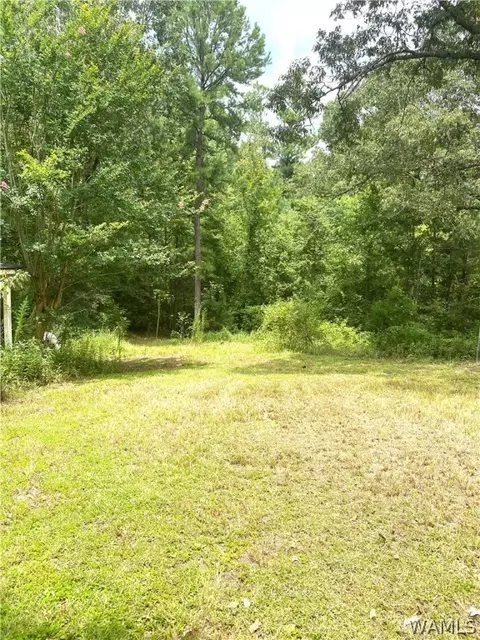 514 Dan Beech Rd, Chatom, AL 36518 photo 11