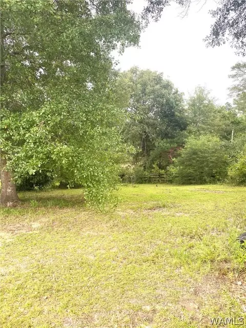 514 Dan Beech Rd, Chatom, AL 36518 photo 9