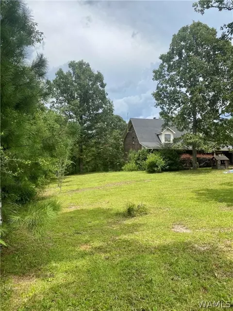 514 Dan Beech Rd, Chatom, AL 36518 photo 4