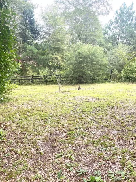 514 Dan Beech Rd, Chatom, AL 36518 photo 14
