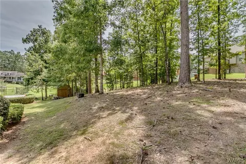 13164 Michael Dr, Lake View, AL 35111 photo 39