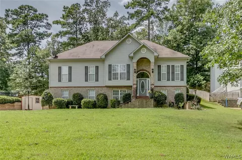 13164 Michael Dr, Lake View, AL 35111 photo 1