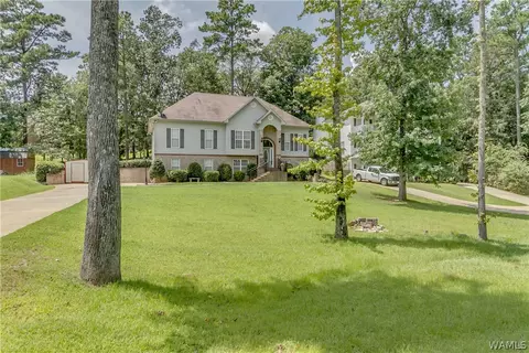 13164 Michael Dr, Lake View, AL 35111 photo 41