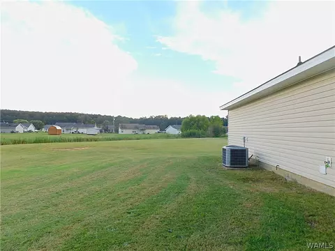 18349 Peyton Ln, Vance, AL 35490 photo 14
