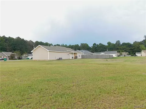 18349 Peyton Ln, Vance, AL 35490 photo 13
