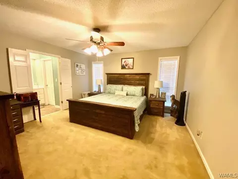 1319 Phillips Dr, Demopolis, AL 36732 photo 12