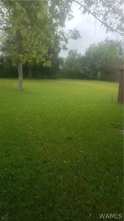 708 E Jefferson, Demopolis, AL 36732 photo 11