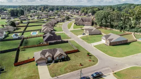 10708 Bent Brook Dr, Vance, AL 35490 photo 7