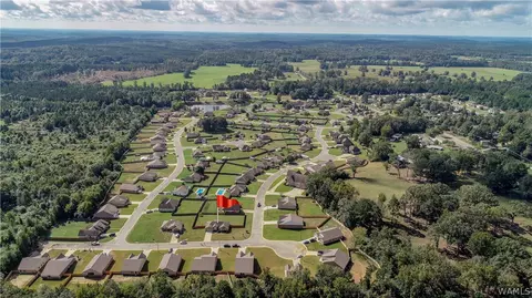 10708 Bent Brook Dr, Vance, AL 35490 photo 9