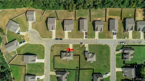 10708 Bent Brook Dr, Vance, AL 35490 photo 10