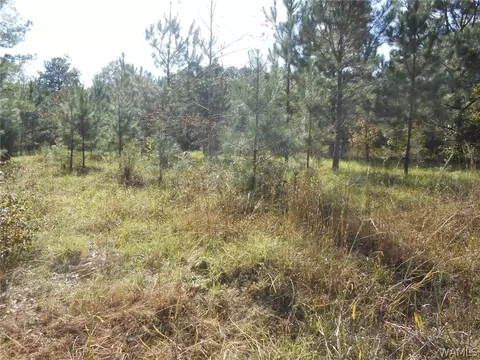 000 Wallace Rd, Cuba, AL 36907