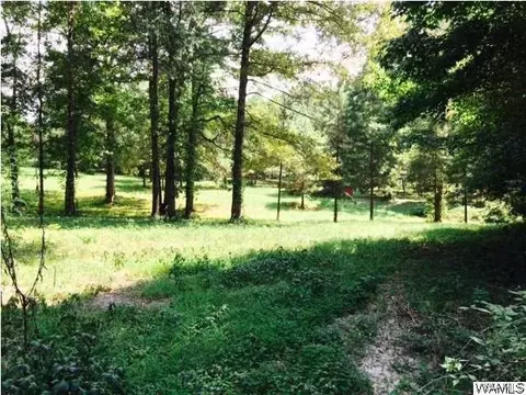 8003 Hazelhurst, Cottondale, AL 35453 photo 47
