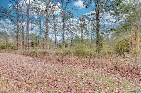 8003 Hazelhurst, Cottondale, AL 35453 photo 34