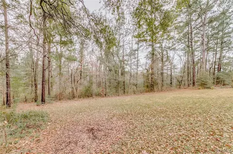 8003 Hazelhurst, Cottondale, AL 35453 photo 38