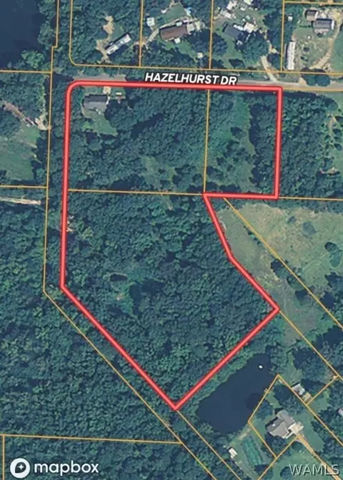 8003 Hazelhurst, Cottondale, AL 35453 photo 45