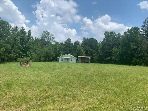 23419 Hope Rd, Berry, AL 35546 photo 7