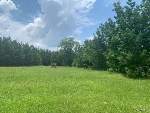 23419 Hope Rd, Berry, AL 35546 photo 1