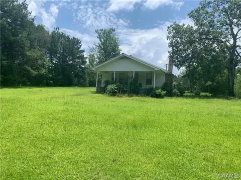 23419 Hope Rd, Berry, AL 35546 photo 9