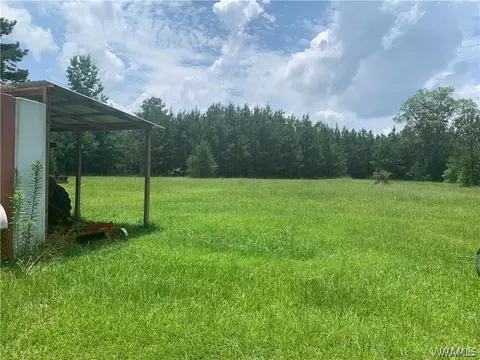 23419 Hope Rd, Berry, AL 35546 photo 6
