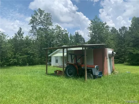 23419 Hope Rd, Berry, AL 35546 photo 8