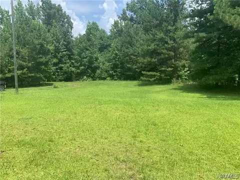23419 Hope Rd, Berry, AL 35546 photo 5