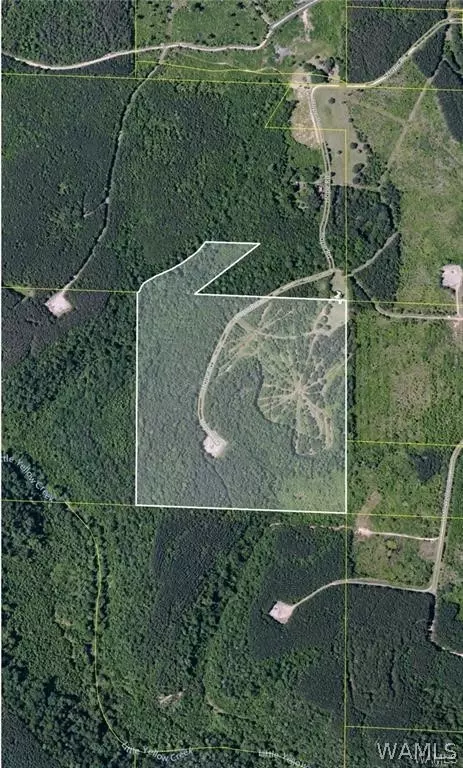23419 Hope Rd, Berry, AL 35546 photo 18