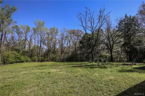 287 Windle Ln, Ralph, AL 35480 photo 3